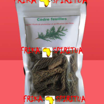 Cedre feuilles 2